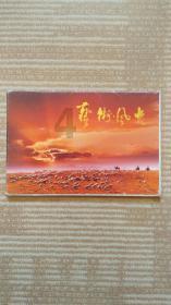夜读丨当妈后,我终于理解了“晒娃狂魔”
